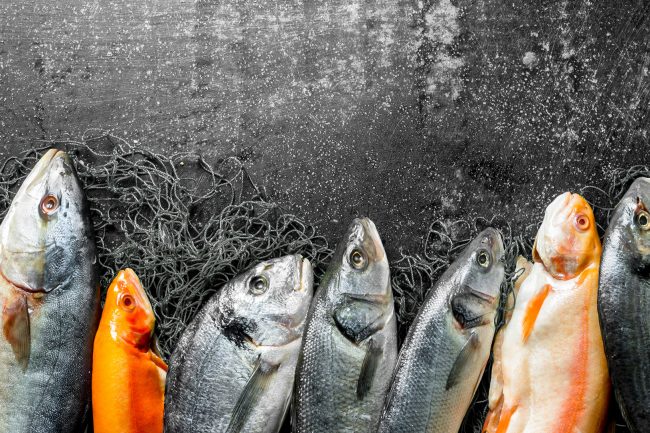 FISCHVERARBEITENDE INDUSTRIE