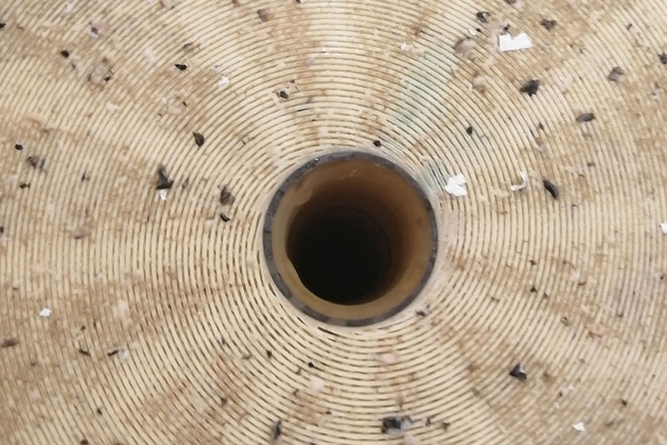 Verschmutzen Filtermembranen vor der Reinigung