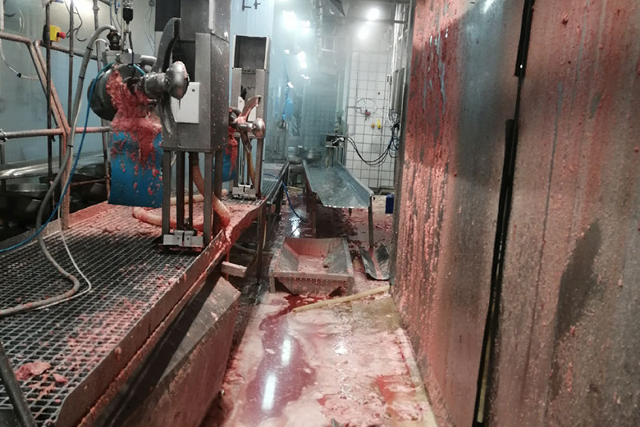 Übliche Verschmutzung durch den Schlachtbetrieb (vor der Reinigung)